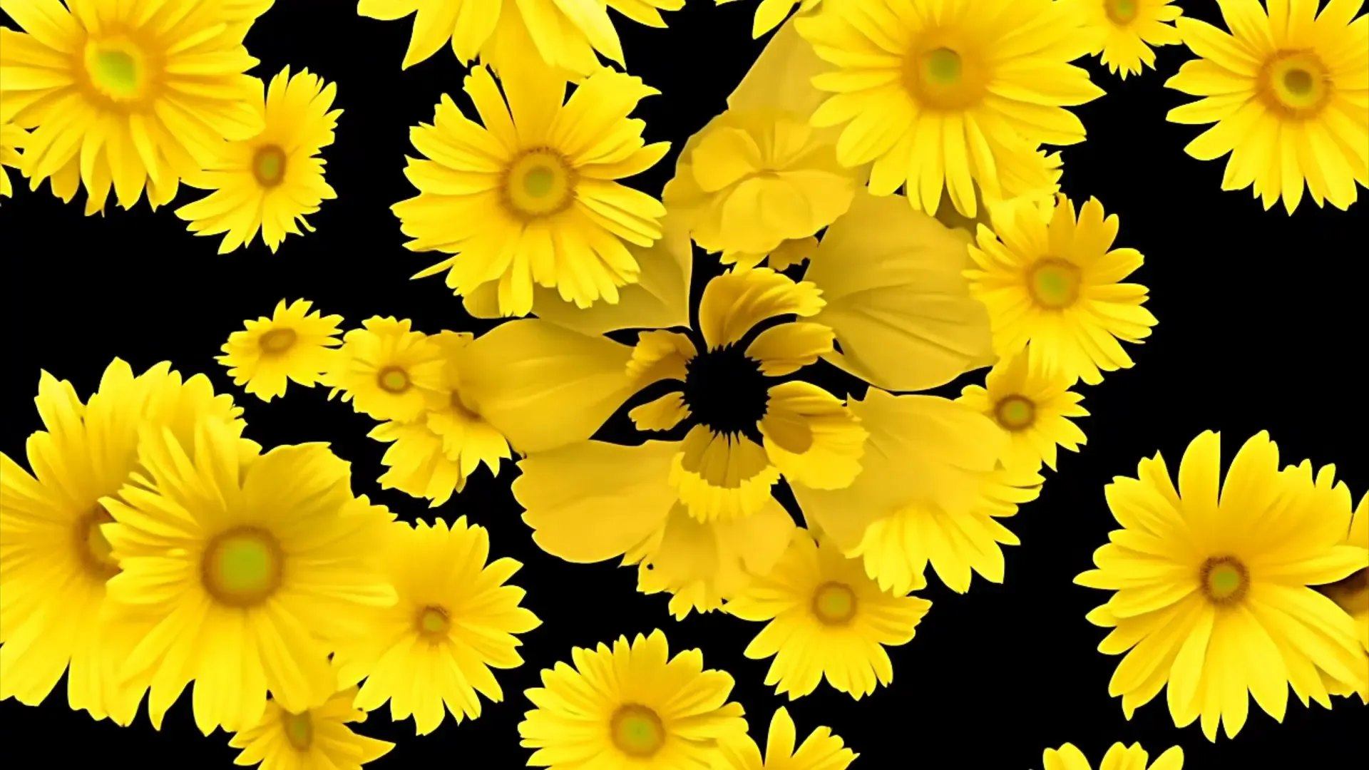 Lively Flower Overlay for Seasonal Promo